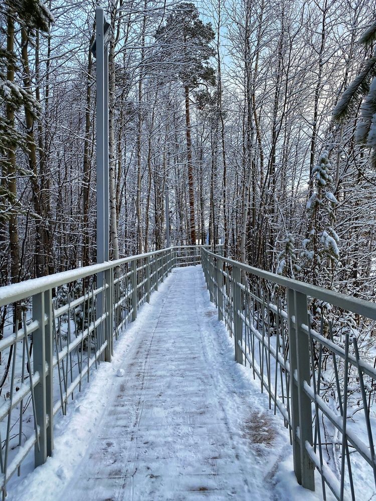 Photograph by Есения  Марванова