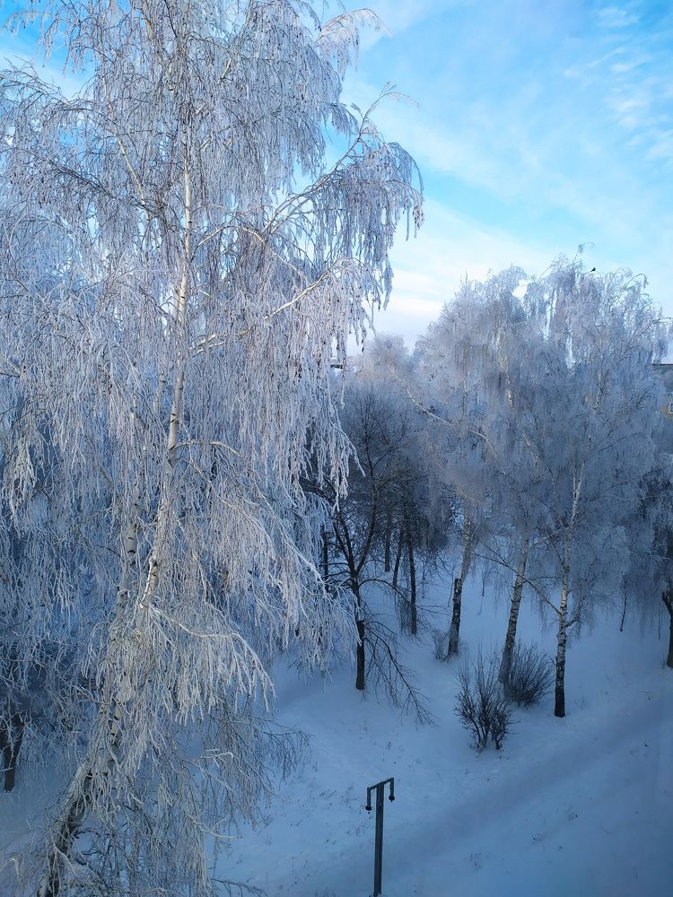 Photograph by Надежда Закирова