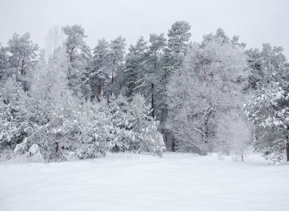 Photograph by Надежда Разводовская