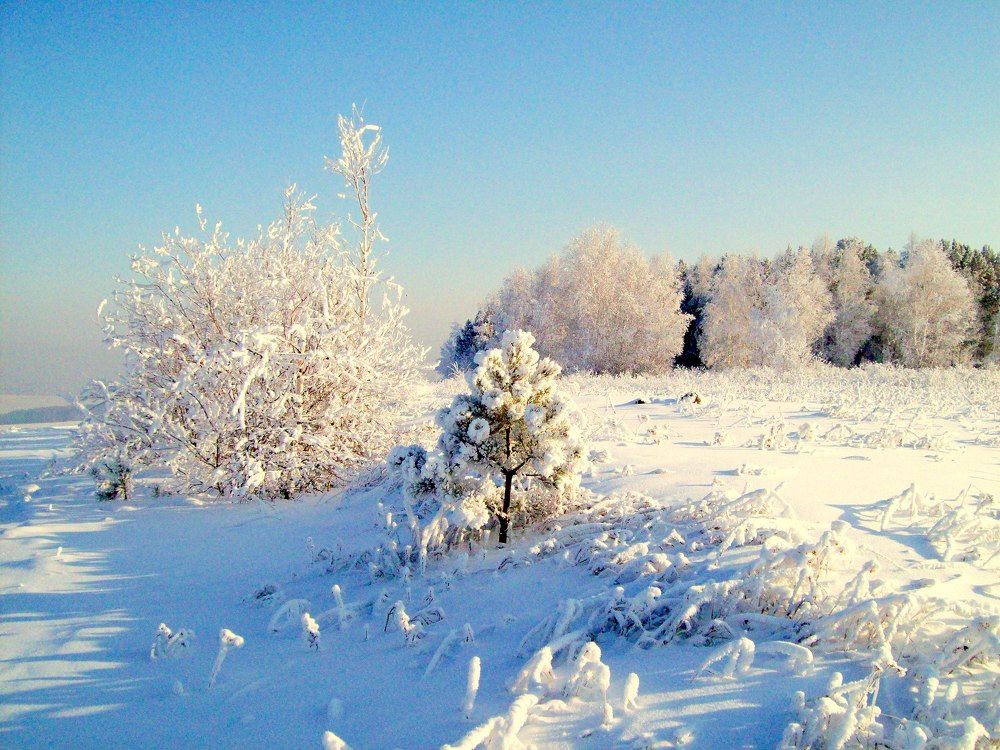 Photograph by Мигун Александра