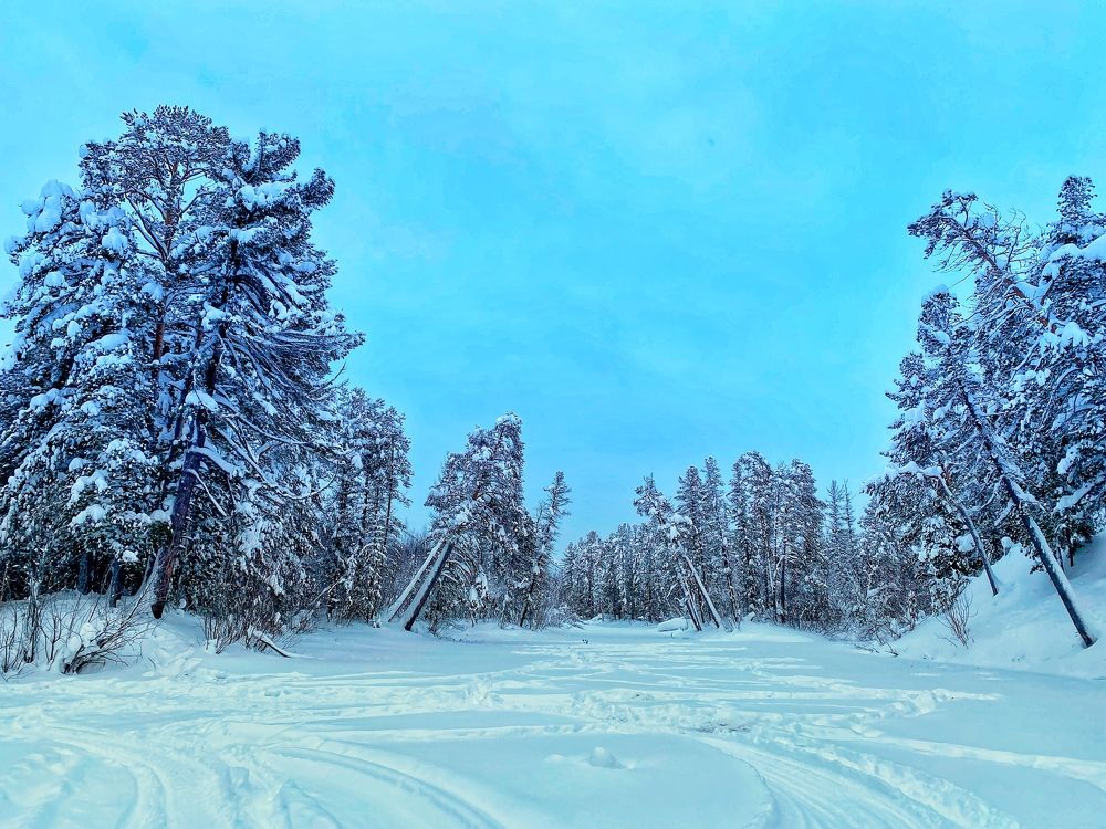 Photograph by Есения  Марванова