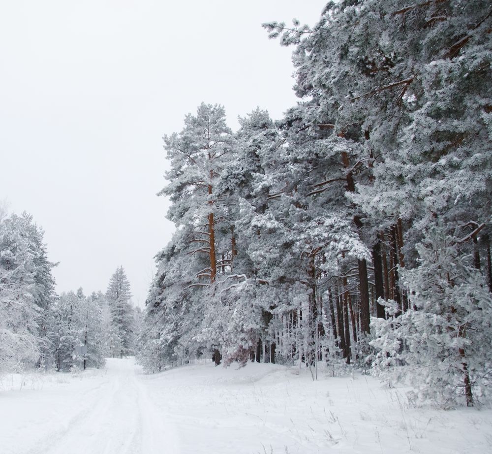 Photograph by Надежда Разводовская