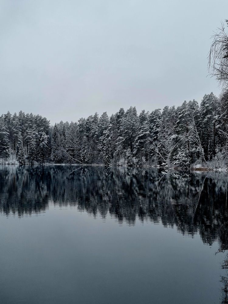 Photograph by Elena Tamošauskaite