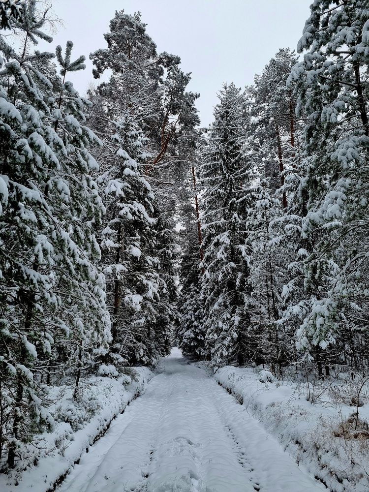 Photograph by Elena Tamošauskaite