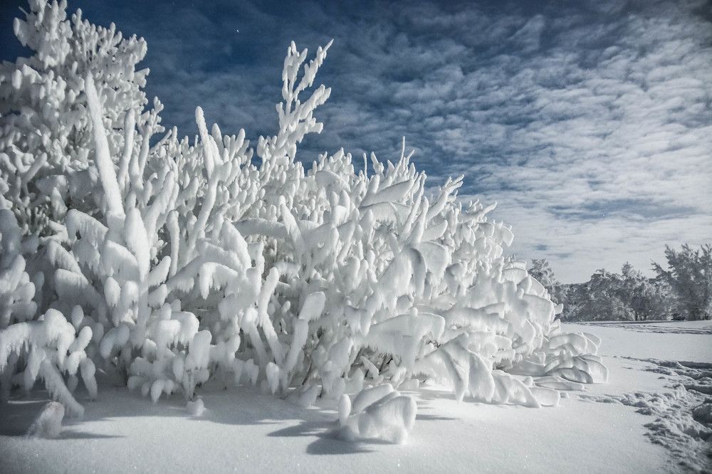 В полнолуние
