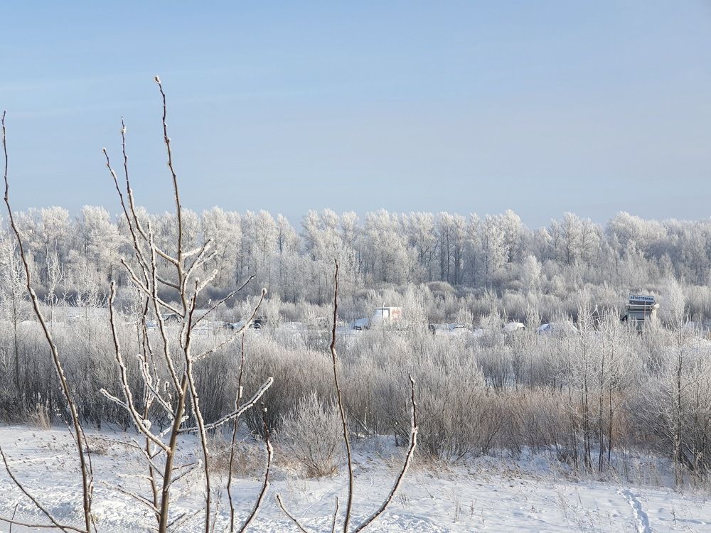 Photo #8482524