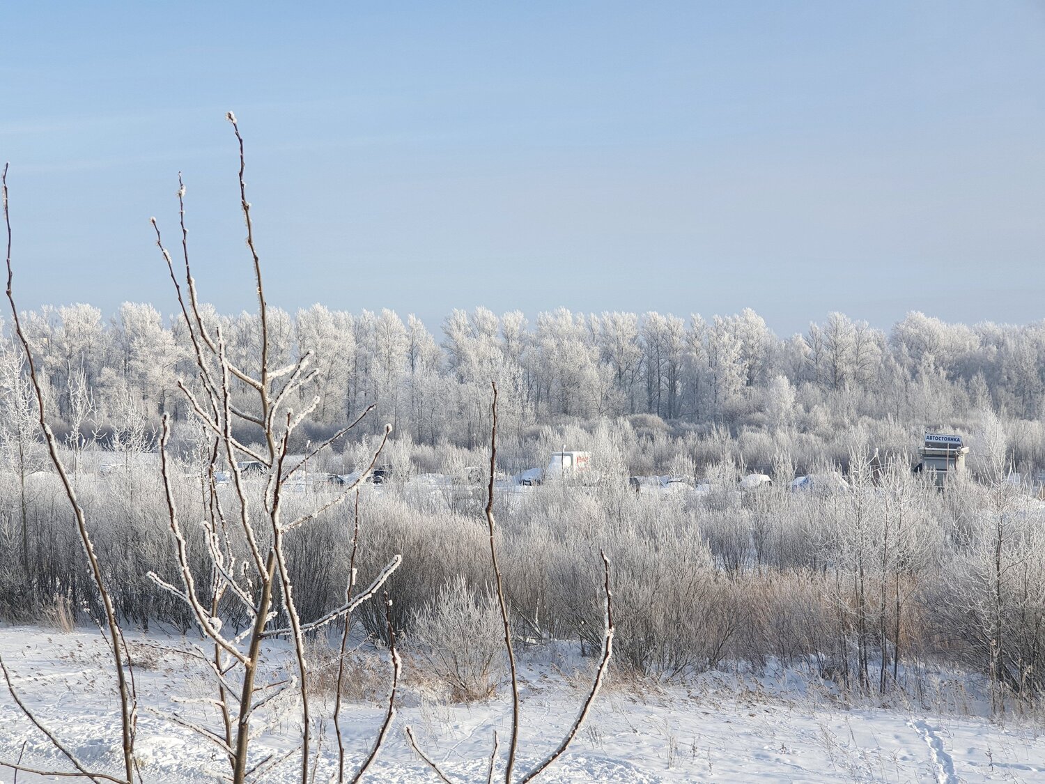 Photo #8482524