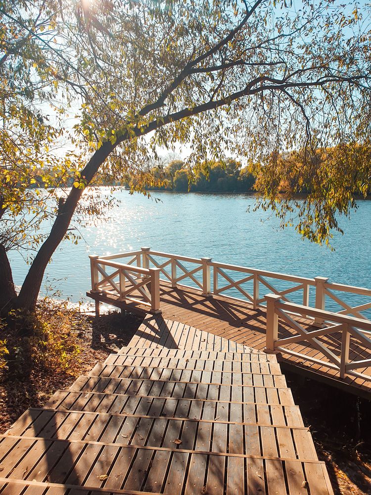 Photograph by Ольга