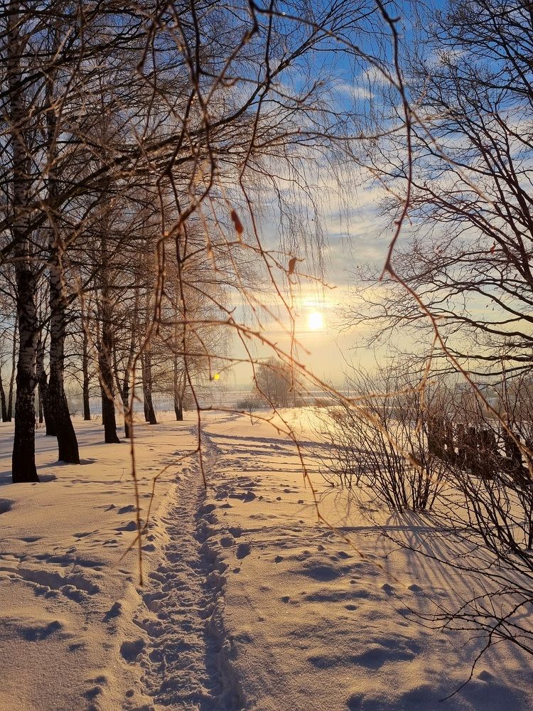 Photograph by Ангелина Шикина