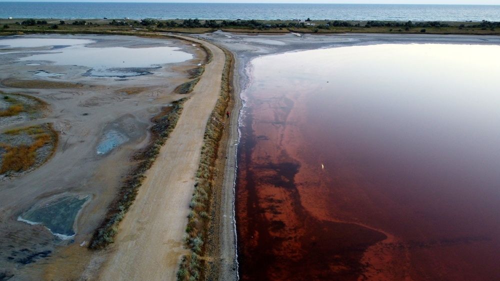 Photograph by Дмитрий