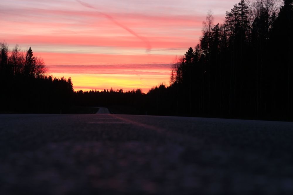 Photograph by Anna Grin