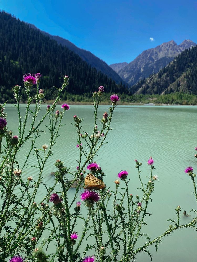 Фотография автора KattyFox