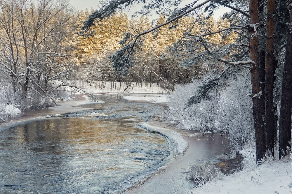 Photograph by dark-angel