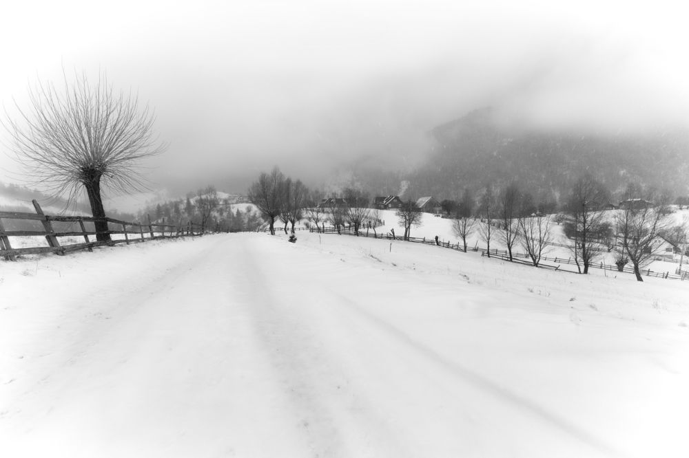 Photograph by Razvan Bordeanu