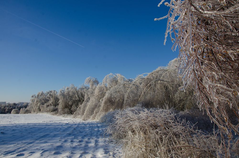 Photograph by Михаил Колосов