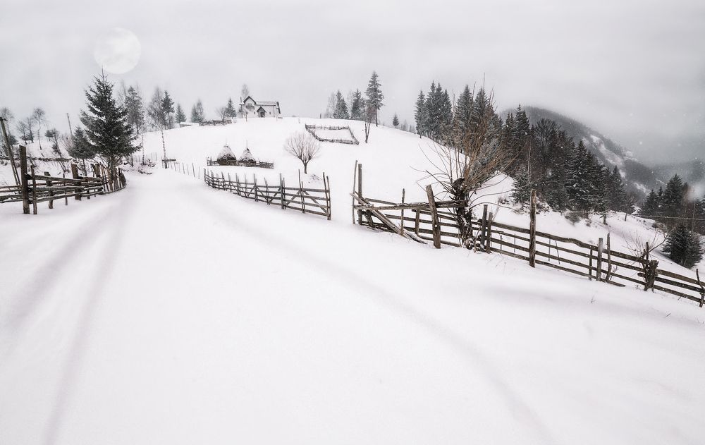 Photograph by Razvan Bordeanu