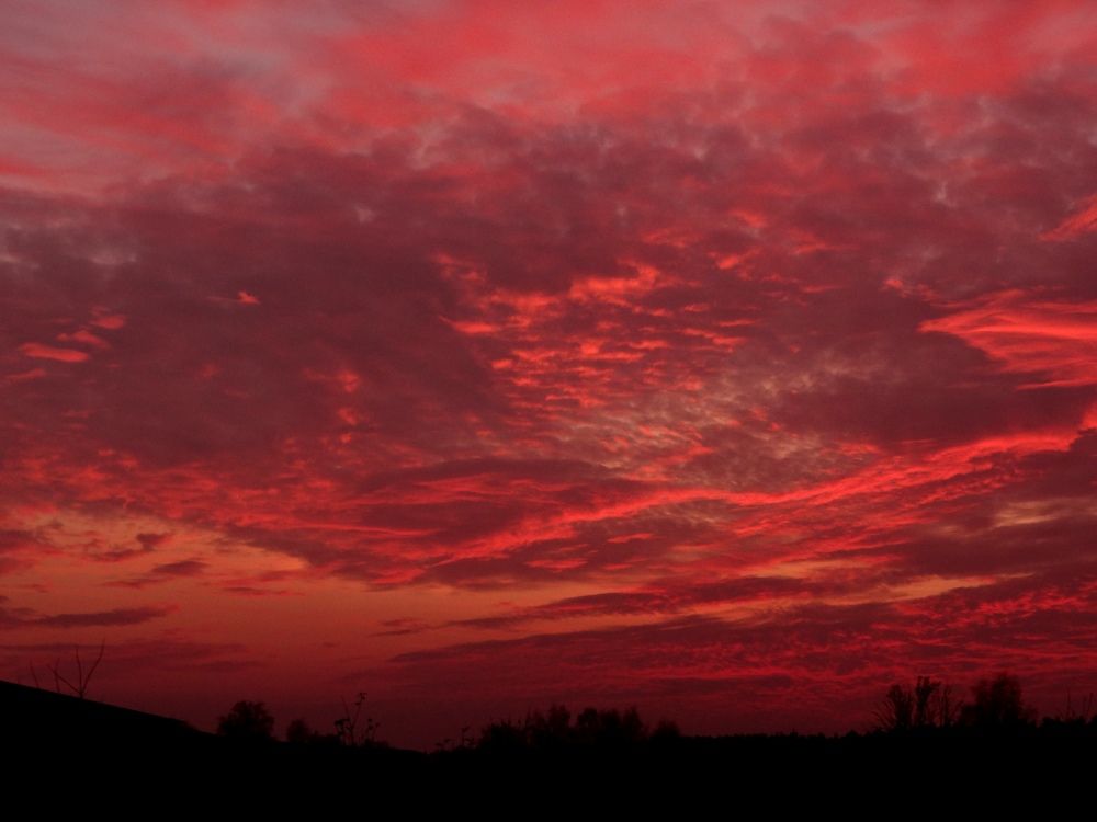 Photograph by Дмитрий