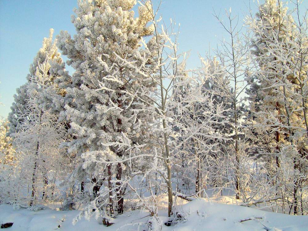 Photograph by Мигун Александра