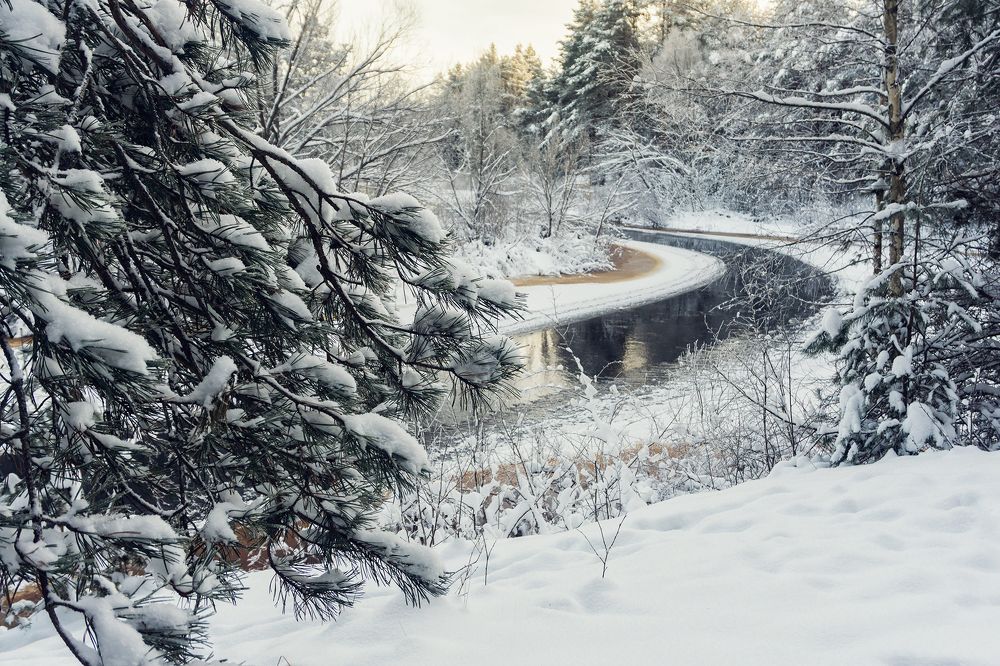 Photograph by dark-angel