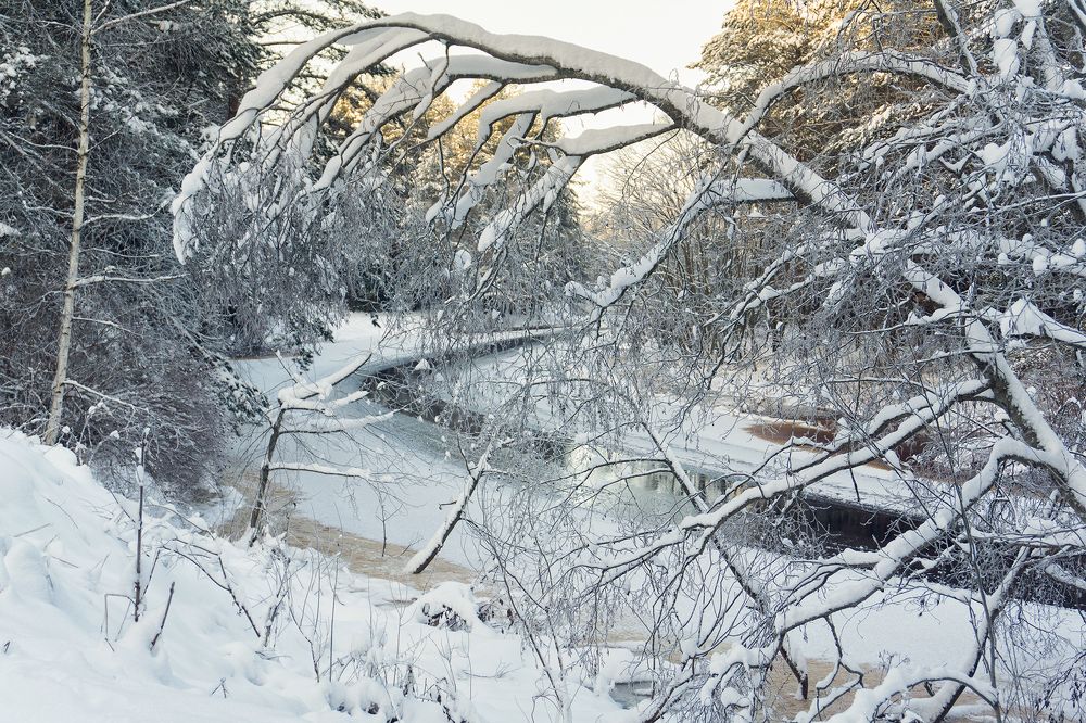 Photograph by dark-angel