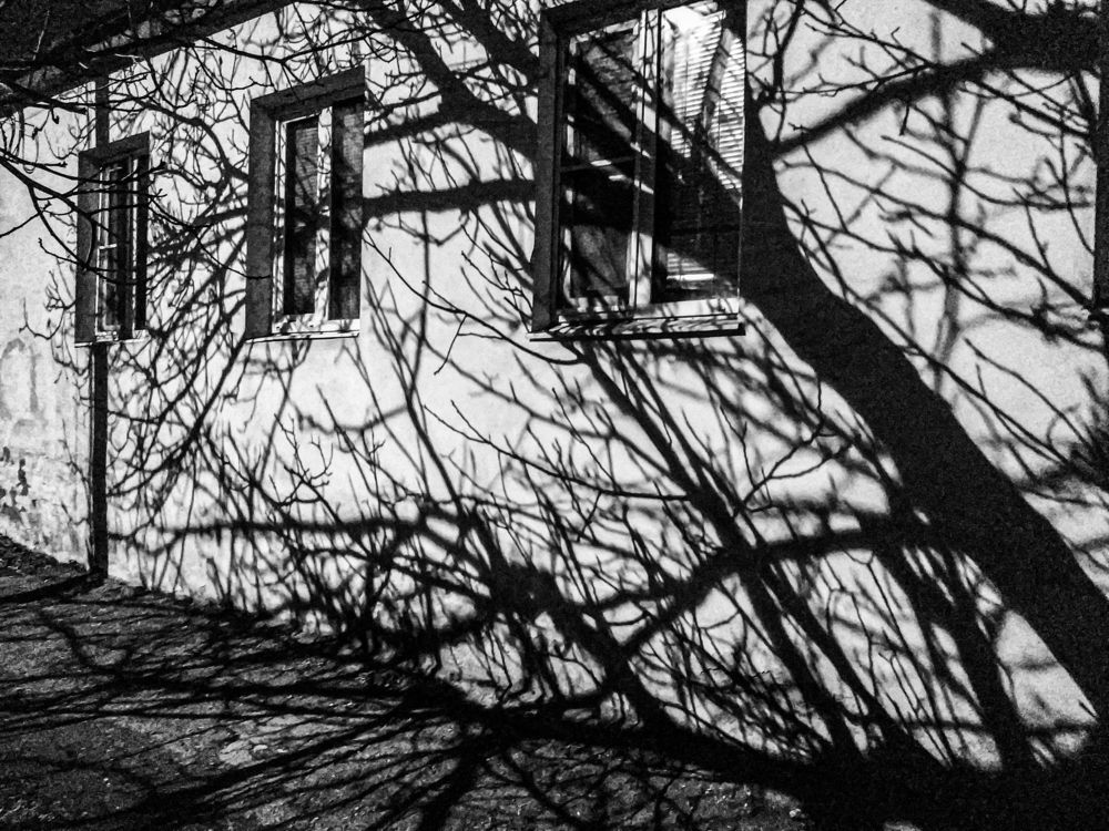 Photograph by Виталий Маслов