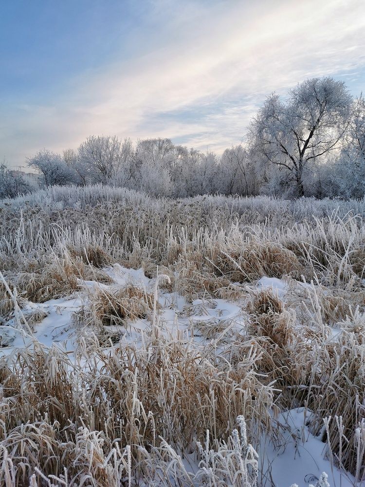 Photograph by Елена Артёменко