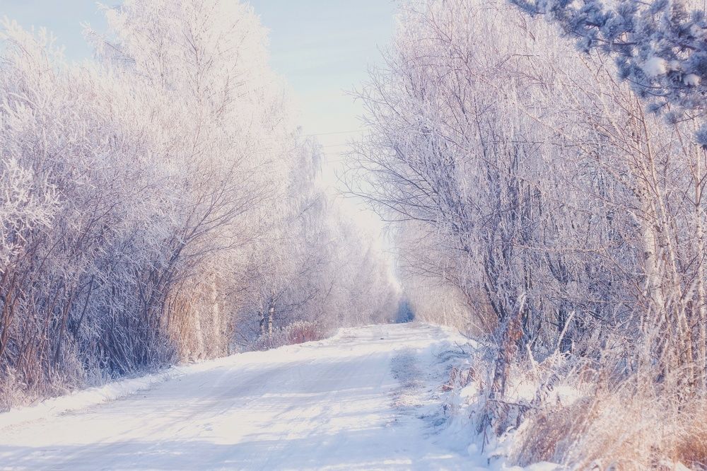 Photograph by Светлана