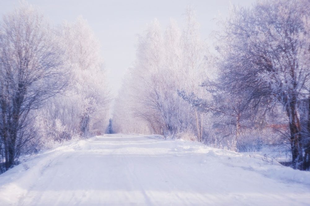 Photograph by Светлана