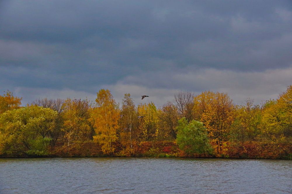 Photograph by АЛЕКСЕЙ