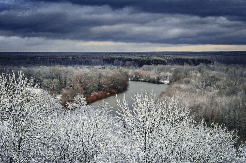 Фотография автора Татьяна Бравая
