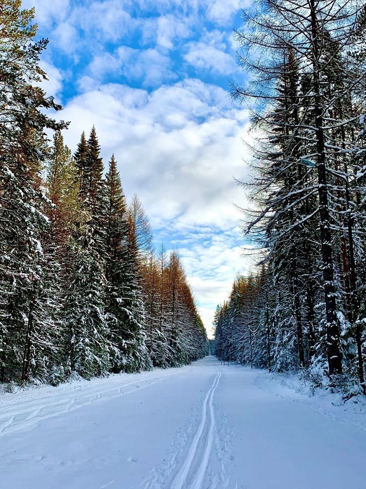 Photograph by Светлана Хохлова