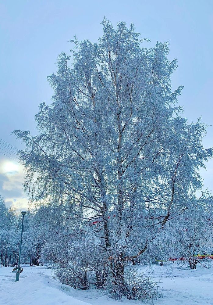 Photograph by Светлана Хохлова