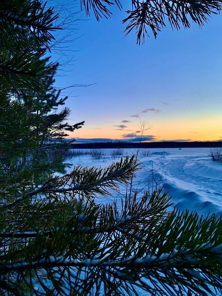 Photograph by Светлана Хохлова