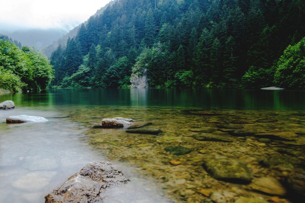 Photograph by Ali Abu Ras