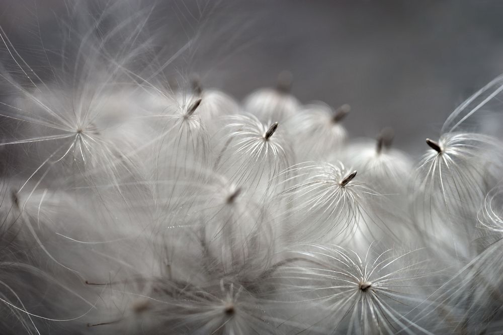 Фотография автора Екатерина Молодкина