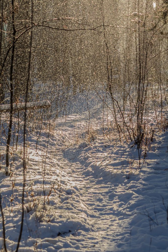 Фотография автора Евгения Снигирева