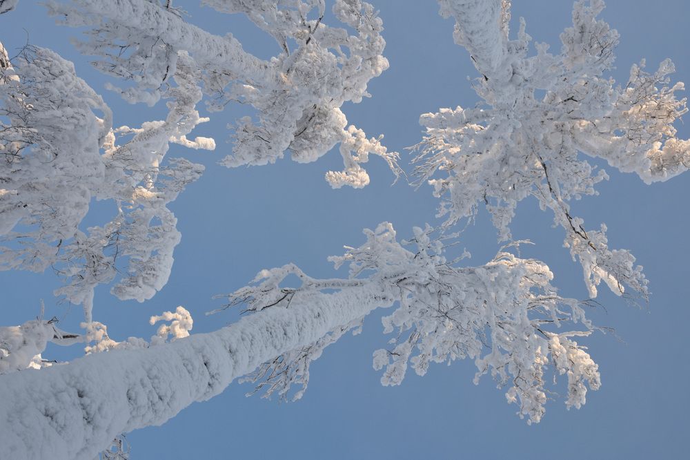 Photograph by Наталья Филатова