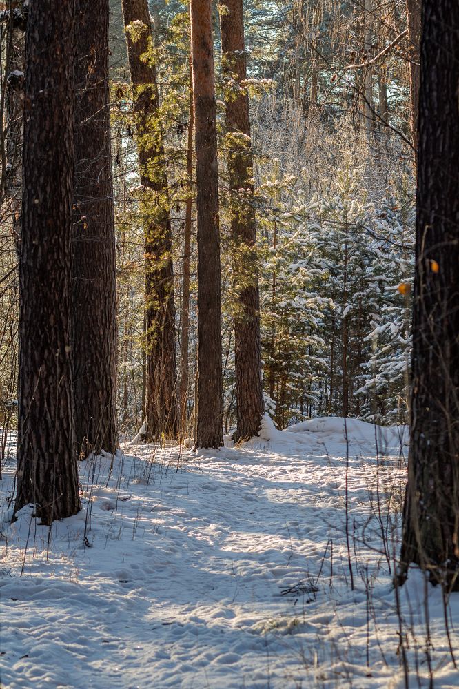 Фотография автора Евгения Снигирева
