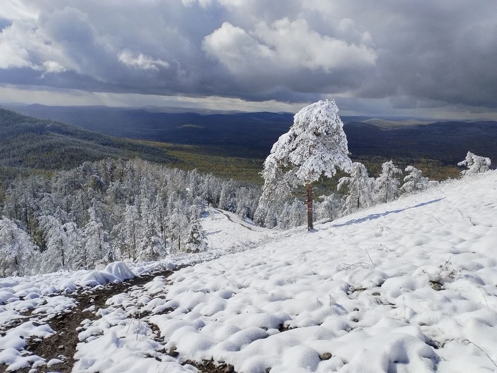 Photograph by Елена Санникова