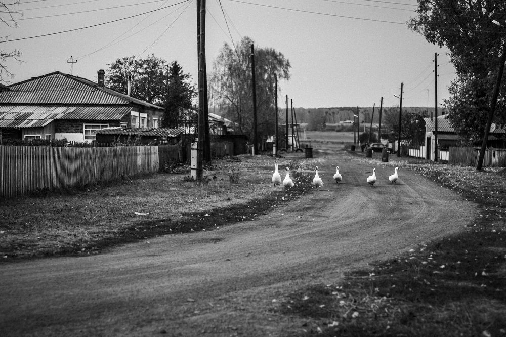 Photograph by Сергей Искачёв