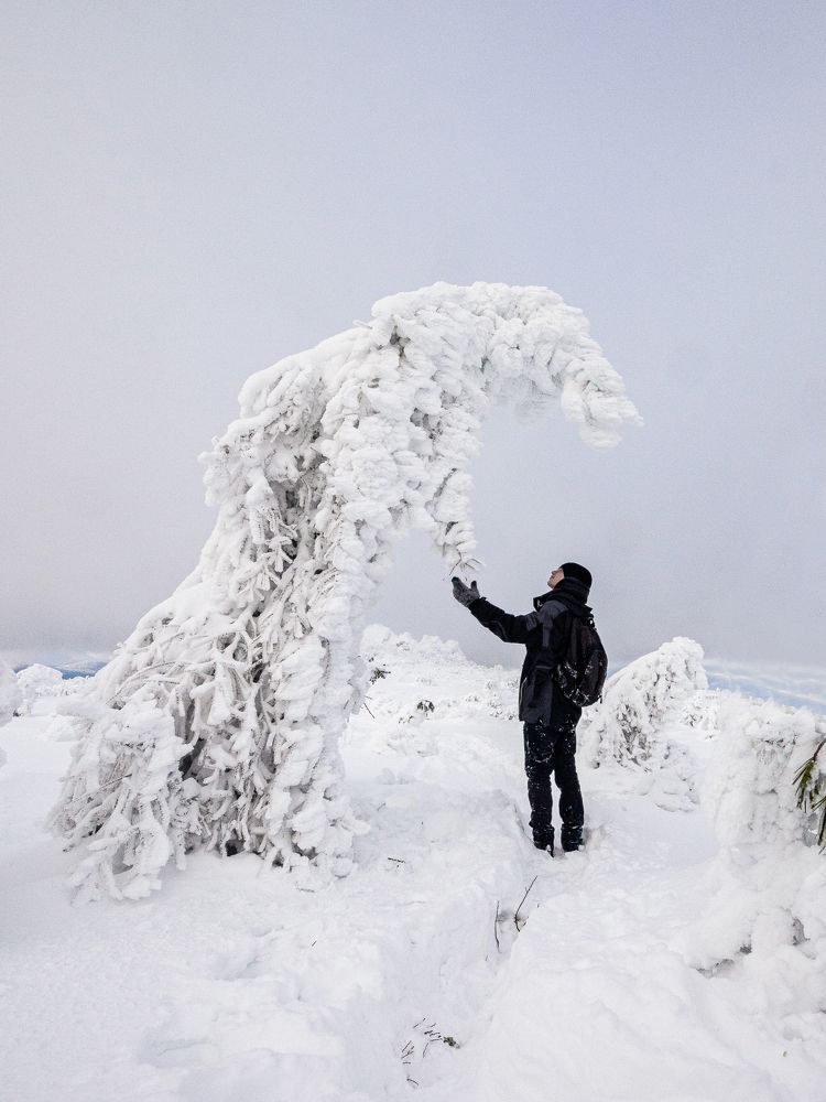 Photograph by Анастасия Попельская