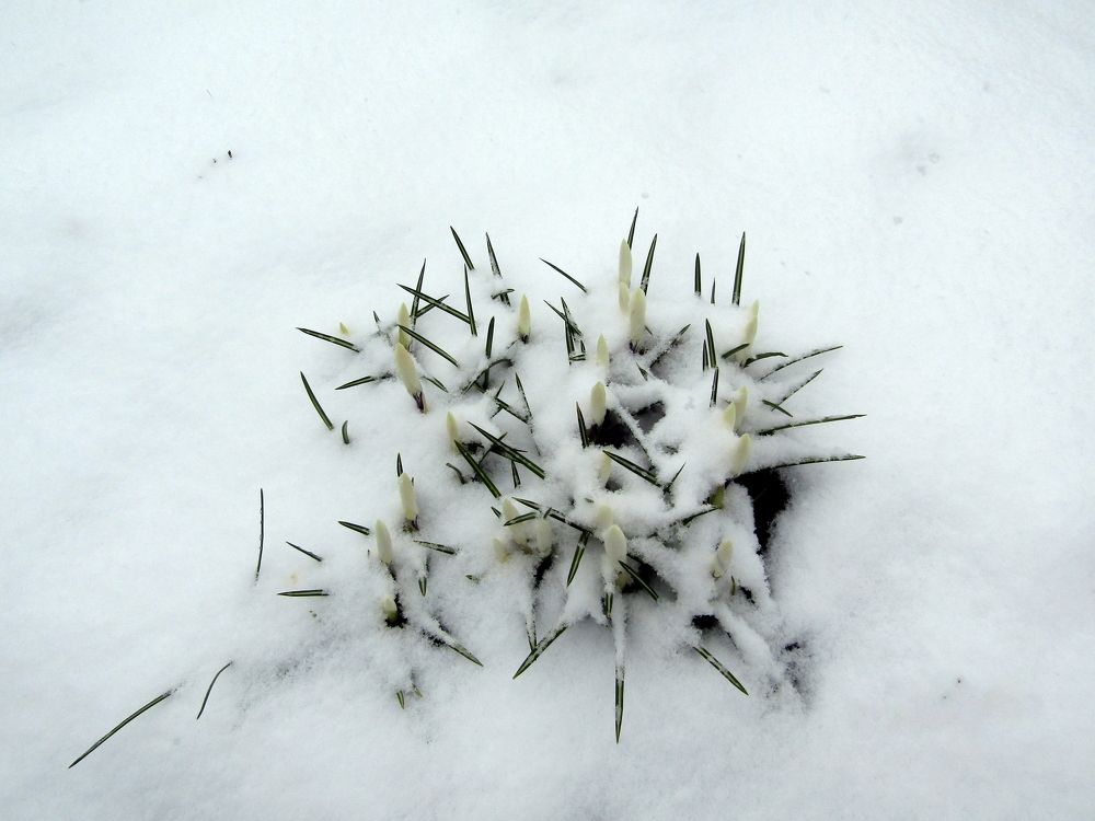 Photograph by Татьяна Смирнова