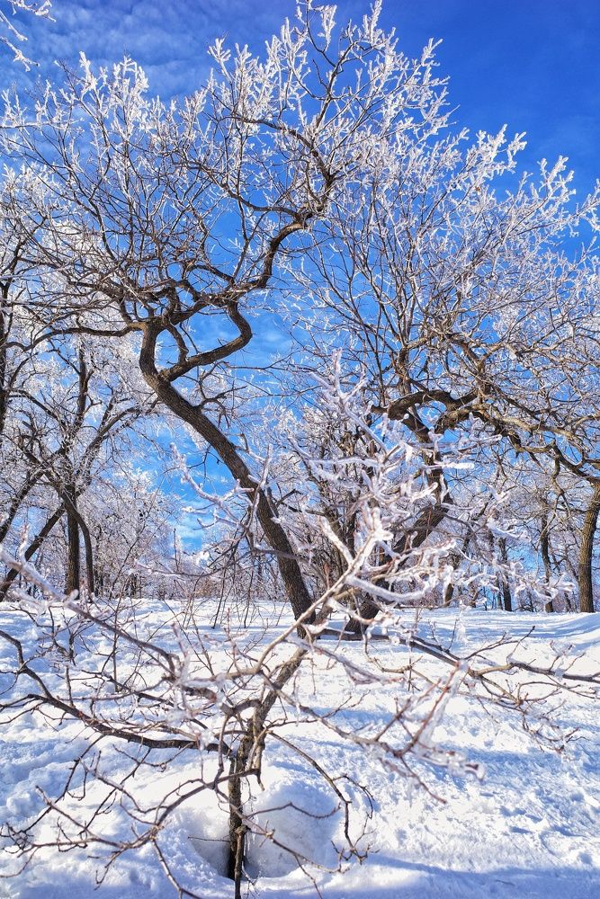 Photograph by Алла Никушкина