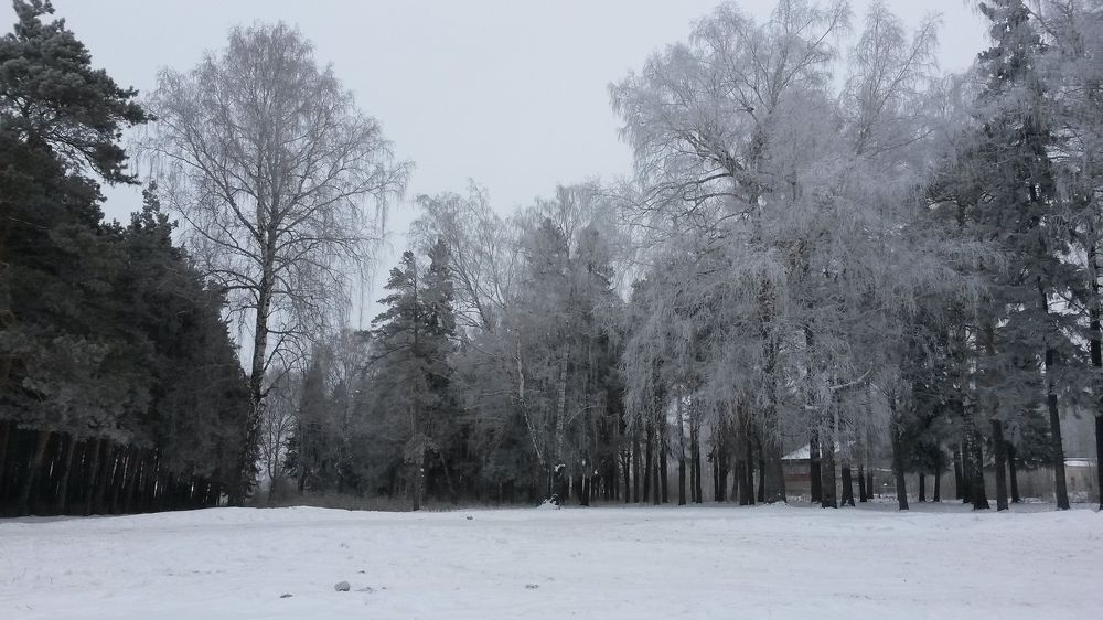 Photo #8483109