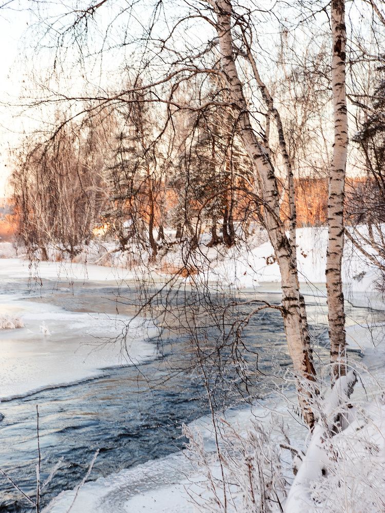 Photograph by Ирина Шутько