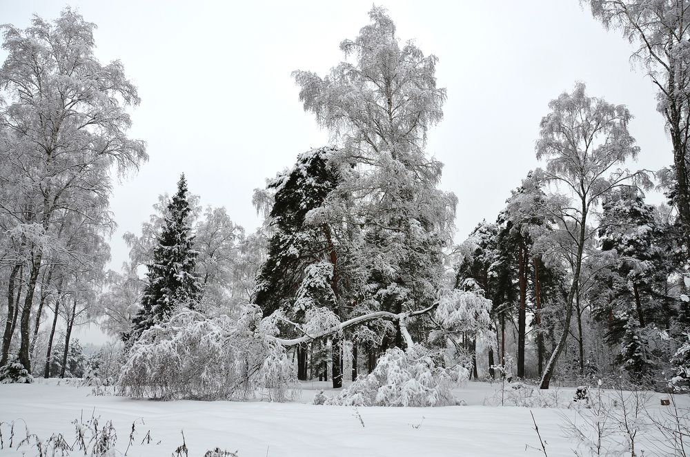 Photograph by Валерий