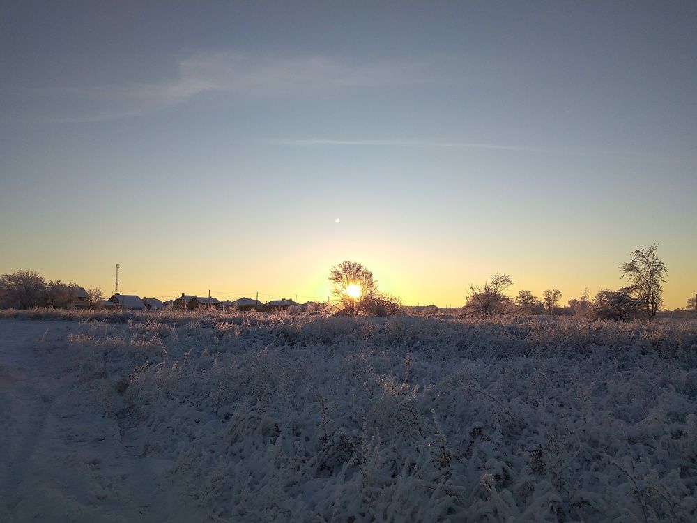 Photo #8483156