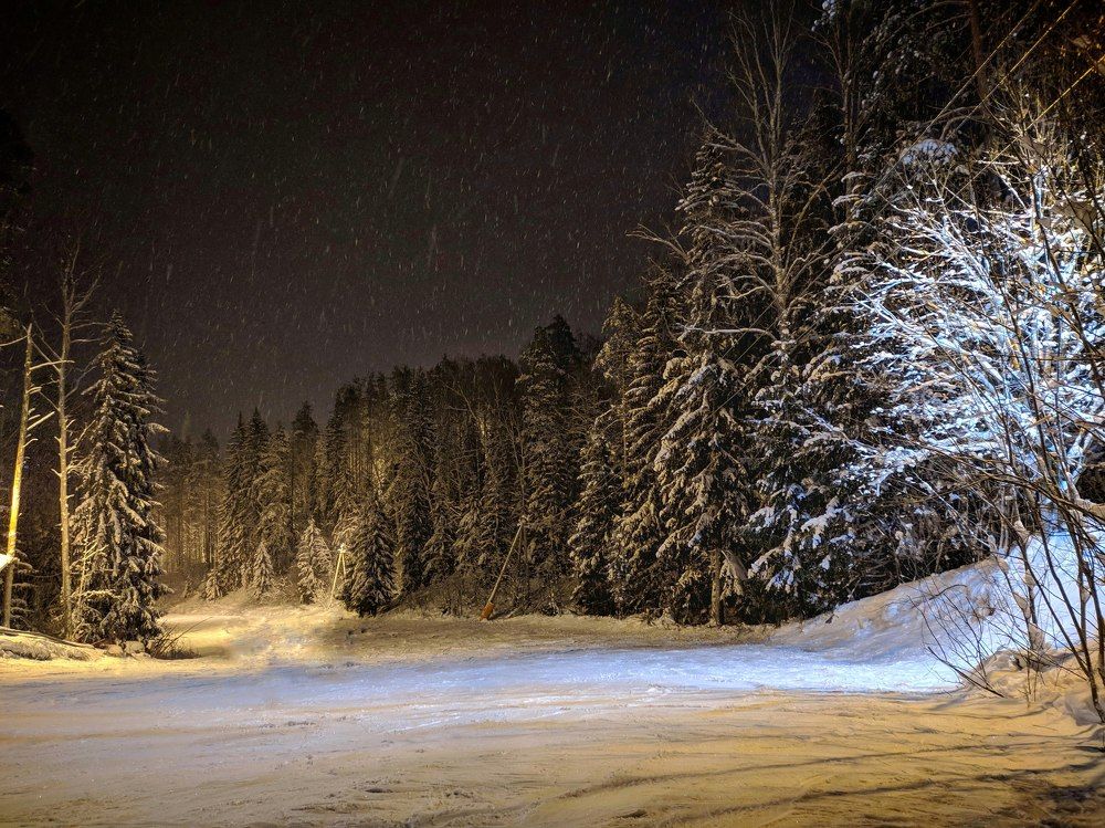 Фотография автора Олеся