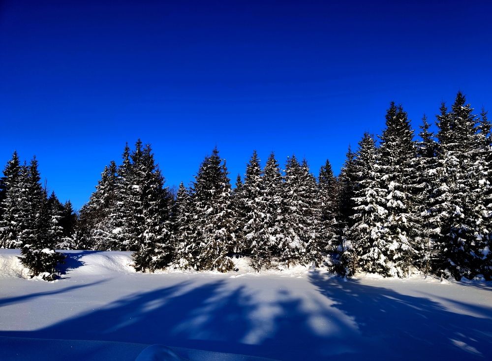 Photograph by Инна Макарчук