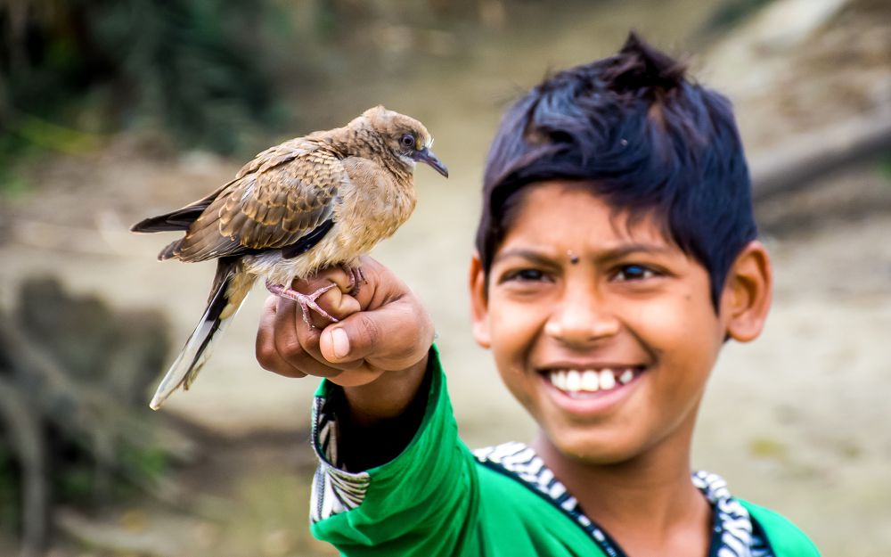 Photograph by shbabu islam